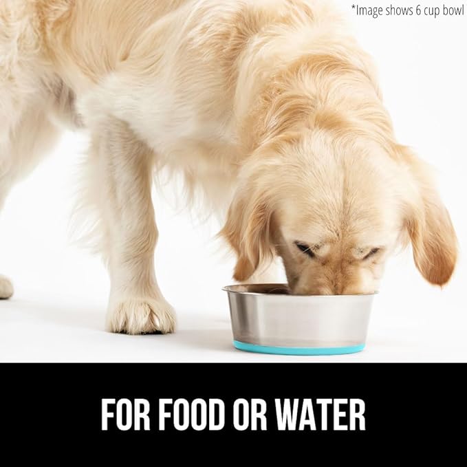 GORILLA GRIP Dog Bowl, Holds 2 Cups (16 fl oz), Heavy Duty Metal Food and Water Bowl for Feeding Dogs and Cats, Dishwasher Safe, Rust Resistant Stainless Steel, BPA Free Rubber Base, Turquoise