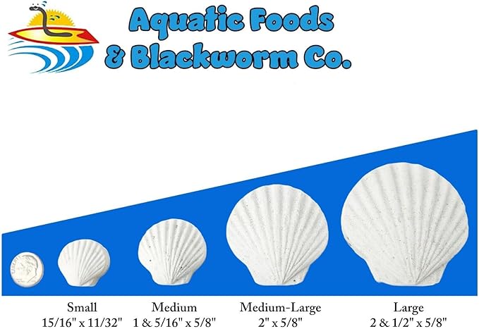 Aquatic Foods Inc. Calcium Feeder Small Shells. Extra Thick Shells for Shrimp, Snails, Crabs, Crayfish, Hermit Crabs and All Tropical Fish…250 Count Bag