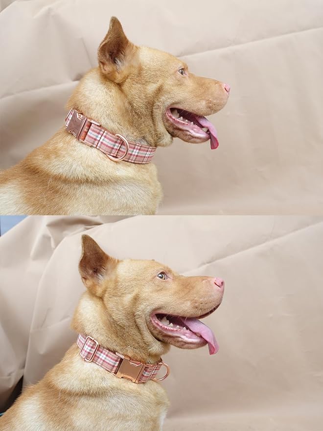 PETDURO Personalized Plaid Dog Collar Orange - Engraved Name and Phone Number on Rose Gold Metal Buckle - Custom for Small Medium Large Boy Girl Dogs - Add Leash Bow Tie via Customize Now
