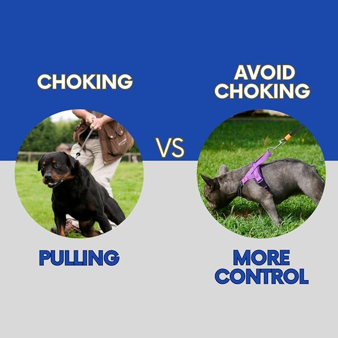 No Pull Dog Harness with Handle, Rear & Front Clip, Adjustable, Easy On/Off, Reflective, Lightweight & Mesh Padded, No Choke. for Small, Medium and Large Dogs(Purple-Black,Medium)