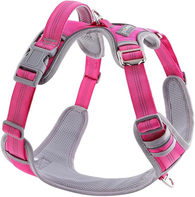 Adjustable Dog Harness - No Pull, Reflective, Soft Padded for Small, Medium, Large Dogs - Includes Leash Pink M