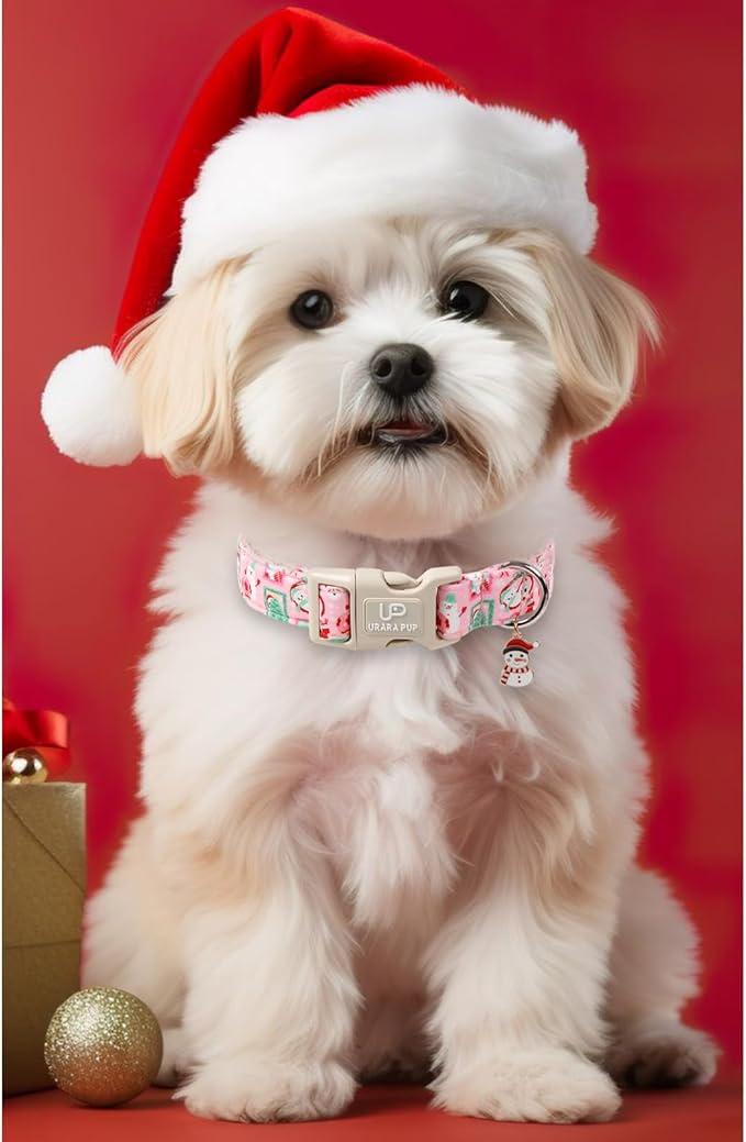 Christmas Dog Collars - Lovely Pink Snowman and Lantern Print Dog Collar - Lightweight, Adjustable Collar for Small to Large Dogs S