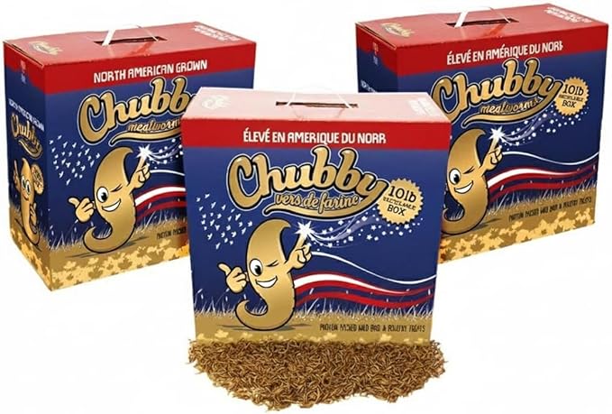 Chubby North American Grown Dried Mealworms | 30?lbs | Non-GMO High-Protein Treats for Chickens, Ducks & Wild Birds – Sustainable Chicken Feed