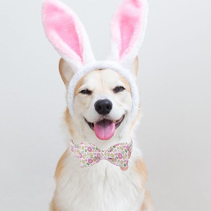 Easter Bunny Dog Collar with Bowtie,Cotton Easter Eggs Bowtie Collar for Puppy Girl Boy Dogs,Cute Bunny Pet Collars with Metal Buckle,Gift Dog Collars, XL, Neck 16-26in