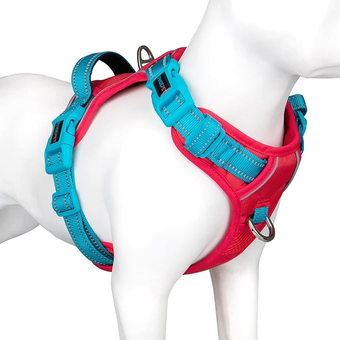 PHOEPET No Pull Dog Harness, Unique Colors Reflective Adjustable Dog Vest, with Soft Training Handle Metal Clips for Small Medium Large Dogs (Red Base & Teal Straps,M)