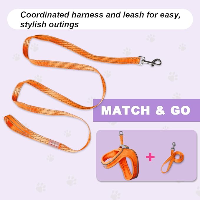Cat Harness and Leash Set,Escape Proof Kitten Harness,Step in Adjustable Soft Lightweight,Easy Control,Reflective Strips Comfortable for Walking Travel(Orange,XXS)