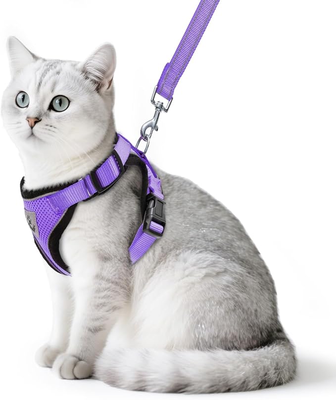 PUPTECK Cat Harness and Leash Set Escape Proof Reflective Cat Walking Harness Adjustable Soft Breathable Mesh Vest for Small Pets, Purple, L