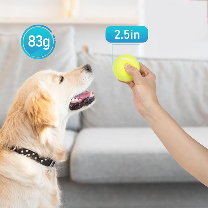 Prime Pets Tennis Balls for Dogs 3 Pack 2.5”, Durable Non-Squeaky Dog Balls with High Bounce, Interactive Fetch and Training Dog Toys for Outdoor Play, Ideal for Small and Medium Breeds