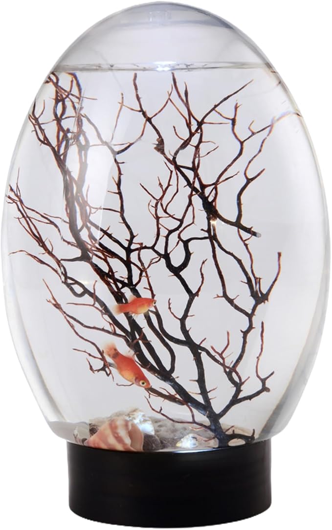 Mini Fish Tank, Small Desktop Aquarium with LED Light, Self Sustaining Ecosystem, No Need to Feed or Change Water Closed Aquatic Ecosystem for Home Office Ecosphere Shrimp Ecosphere