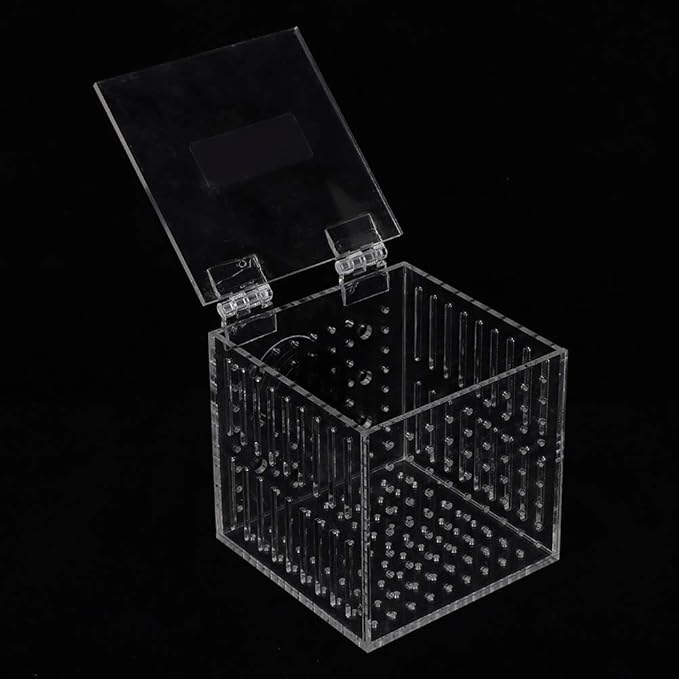 Acrylic Magnetic Aquarium Fish Breeding Isolation Box Hatchery Cage for Baby Fish Incubator Strong Magnetic Design, Easy Maintenance, Maximum Thickness 15Mm