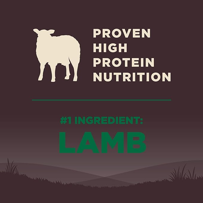 Wellness CORE Dry Dog Food, Grain Free, High Protein, Natural, Lamb Recipe, (4-Pound Bag)