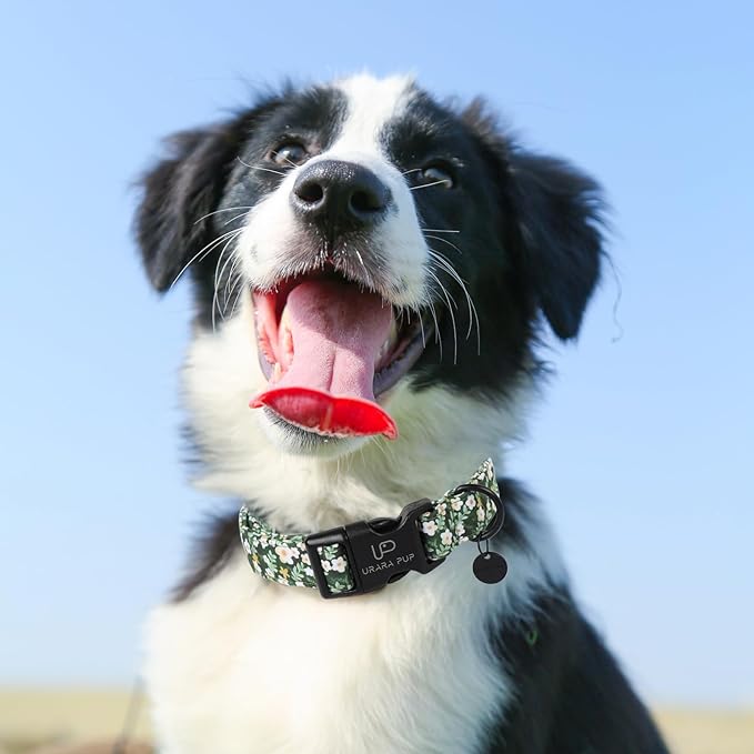 Summer Dog Collar, Flower Print Dog Collar with Adjustable Plastic Buckle, Lightweight Cute Pet Collar, Ideal Gift for Boy Girl Dogs