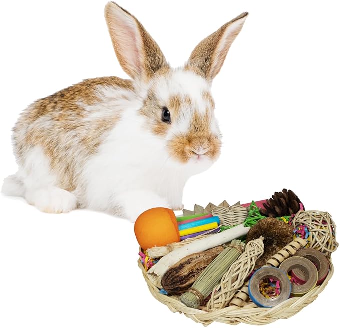 Super Bird Creations SC228 Bunny Foraging Basket - Toss & Chewable Bamboo Plate w/ 25 Engaging Toys - Ideal for Rabbits Hamsters Cockatiel Parrot - Bundle Toys for Medium Birds & Small Animals, 9"x9"