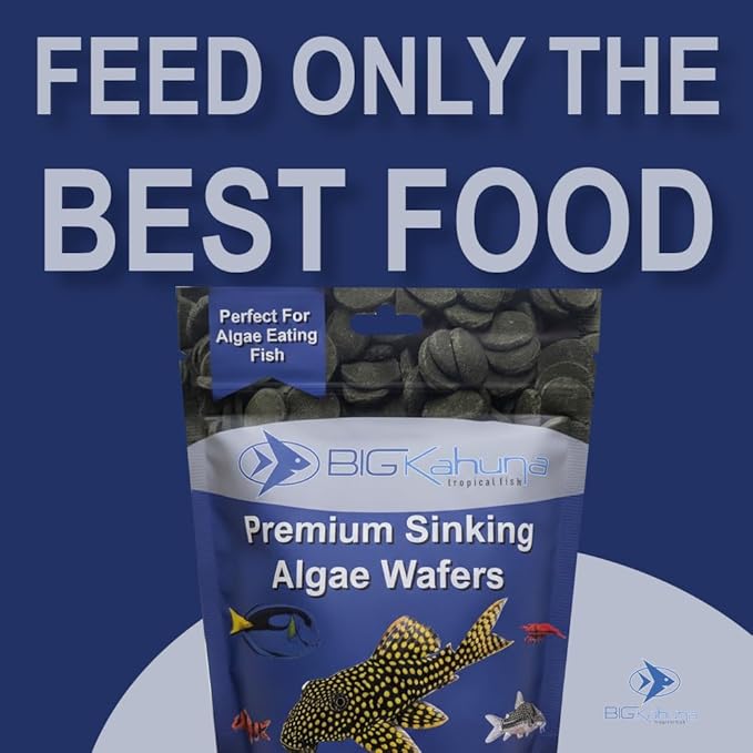 Large 18mm Algae Wafer - Algae Wafers for Bottom Feeders - The Best Pleco Wafers & Pleco Food Available - Algae Wafers for Snails (8 oz)