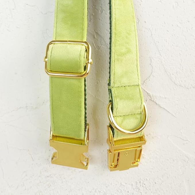 PETDURO Custom Dog Collar Personalized with Name Engraved Quick Release Rose Gold Metal Buckle for Large Medium Small Girl Dogs - Dog Leash and Bow Tie Available - Soft Comfy Velvet (Mint Green, XL)