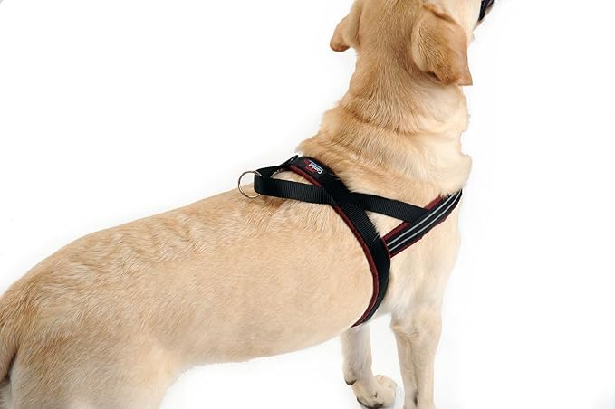 ComfortFlex Sport Dog Harness – No-Choke, Fully Padded, Non-Chafing Harness with Control Handle – Reflective, Lightweight, Adjustable for Active Dogs - Petite, Saffron Yellow