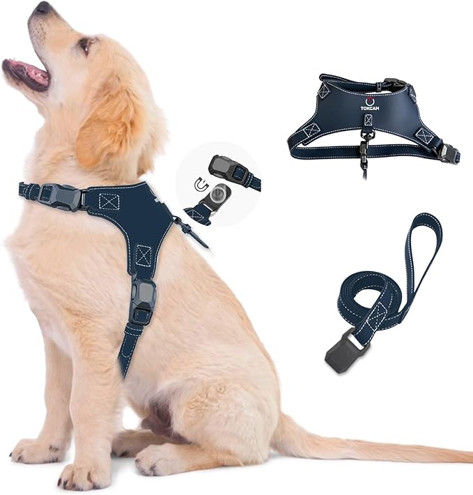 Magnetic Quick-Release Buckle Dog Harness and Leash Set, Easy Walk Faux Leather Puppy Harness and Leash, Easy On & Off Dog Vest for Small, Medium, Large Girl Boy Dogs for Training, Blue,L