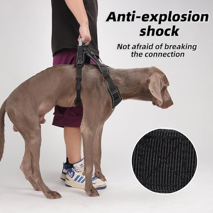 Airtag Dog Harness Chest Plate Reflective No Pull Harness with Leash for Extra Large Dogs (Black, XL)