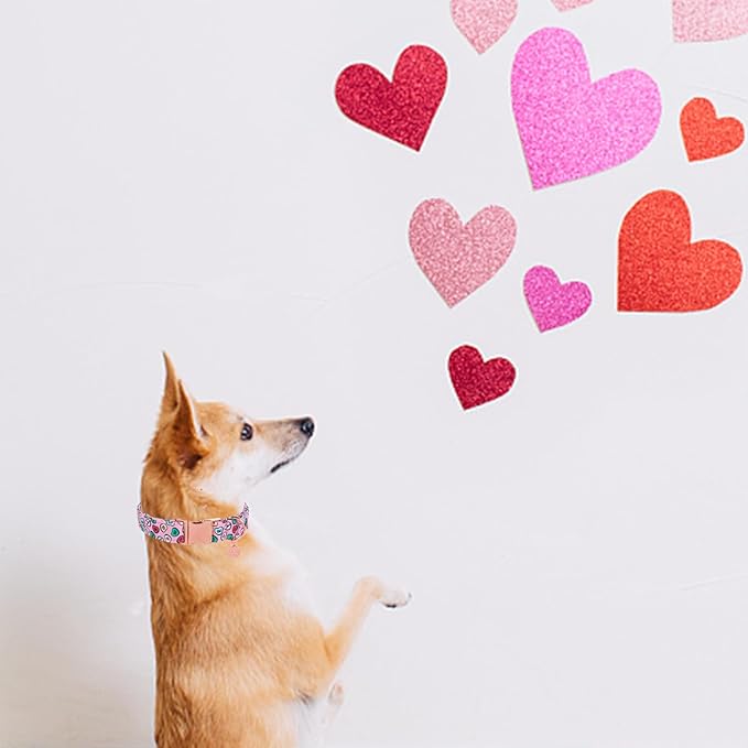 Valentine's Dog Collar, Heart Dog Collar for Small Medium Large Girl Boy Dogs or Cats, Wedding Dog Collar Match Dog Leash, Pet Collar with Metal Buckle, XS