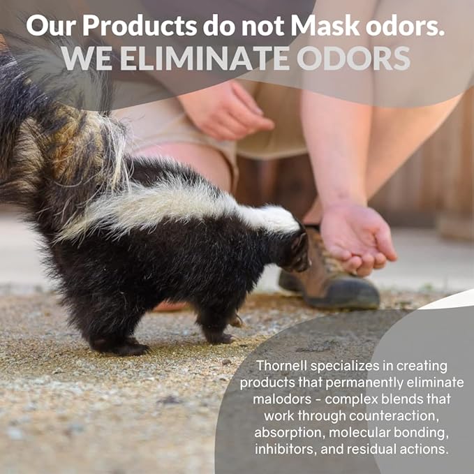 Odorcide Skunk Off Pet Shampoo – Ready to use Skunk Odor Remover for Dogs, Cats, Carpet, Car, Clothes & More – Skunk Shampoo Non-Enzymatic Formula (1 Gallon)