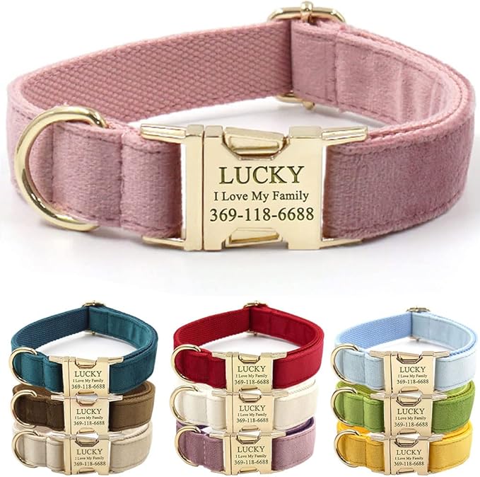 PETDURO Custom Dog Collar Personalized with Name Engraved Gold Metal Buckle for Large Medium Small Girl Dogs - Dog Leash and Bow Tie Available - Soft Comfy Velvet (Champagne Pink, XS)