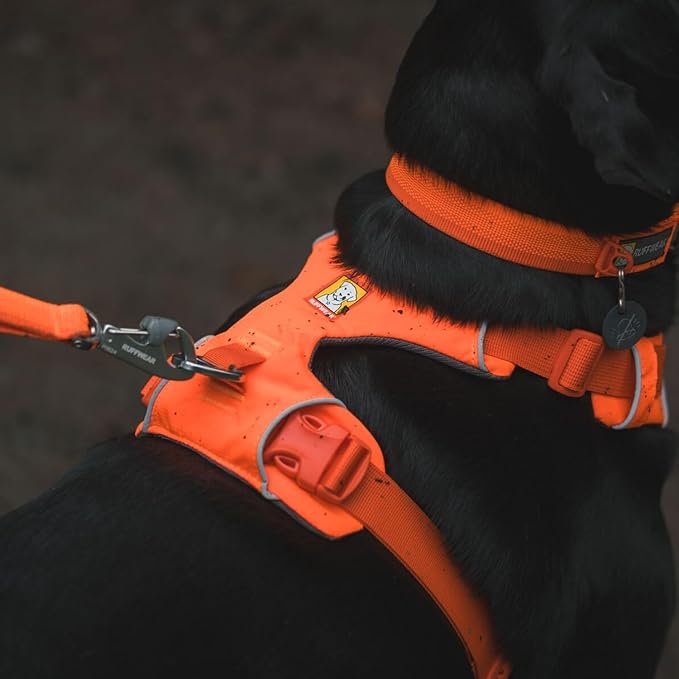 Ruffwear, Front Range Dog Harness, Reflective Soft Padded Everyday Harness with Dual Leash Clips, Adjustable and Lightweight Fit for Training or Walking for All Dogs, Blaze Orange, Small