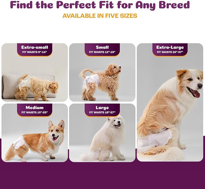 Inspire Pet Care Dog Diapers Female Dogs | Bulk Value Doggie Incontinence, Accidents, for Heat, Pee or Period and Housebreaking (Large (60 Count))