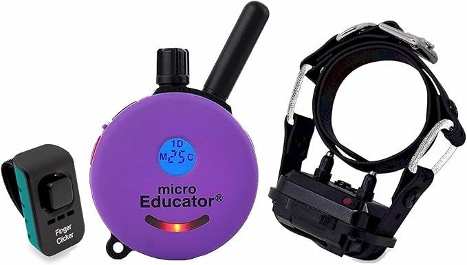 Educator E-Collar Humane Dog Training Collar with Remote, 100 Safe Tapping Stimulation Levels, Night Light, Waterproof, Rechargeable, 1/3 Mile 1 Small Dog Double Bungee Bundle, Purple