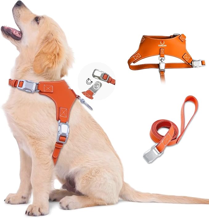 Magnetic Quick-Release Buckle Dog Harness and Leash Set, Easy Walk Faux Leather Puppy Harness and Leash, Easy On & Off Dog Vest for Small, Medium, Large Girl Boy Dogs for Training, Orange,S
