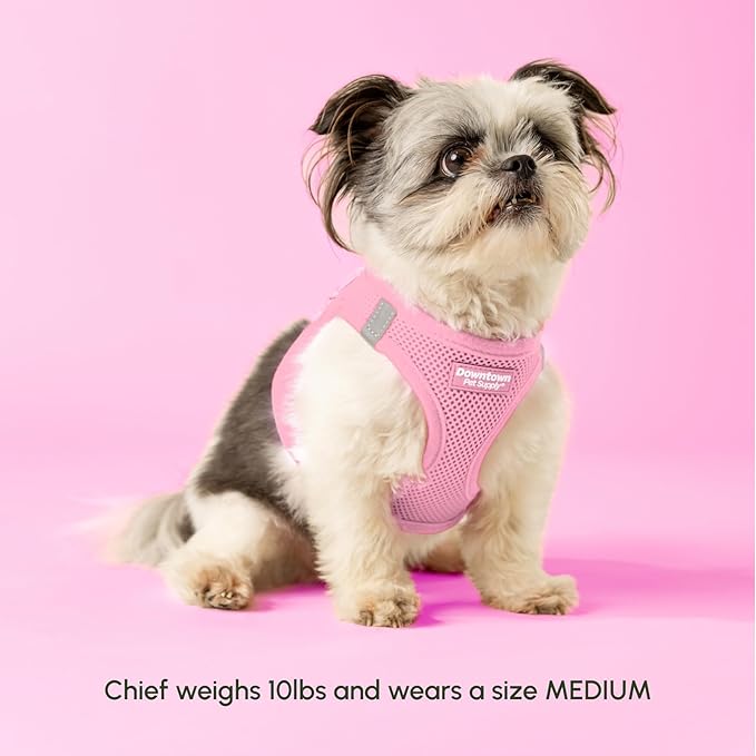 Downtown Pet Supply Step in Dog Harness for Large Dogs - Adjustable, Escape Proof Dog Harness with Reflective Trim - All-Weather, Fast-Drying Padded Mesh Fabric - Baby Pink, XL