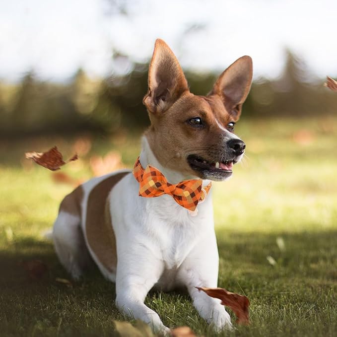 DOGWONG Fall Dog Collar Bow Adjustable Girl Boy Orange Dog Collar Bow Tie Cute Plaid Dog Collar for Small Medium Large Dogs