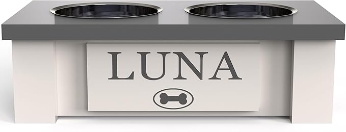 GTW Personalized Elevated Dog Bowl Stand for Large, Medium, Small, X-Small Dogs - Stainless Steel Food and Water Bowls - Raised Dog Dish with Internal Storage (X-Small, Grey)