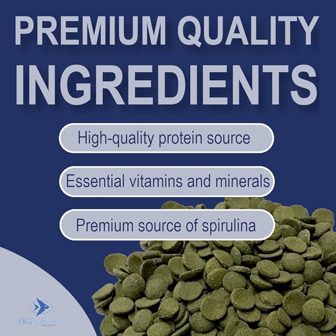 Large 18mm Algae Wafer - Algae Wafers for Bottom Feeders - The Best Pleco Wafers & Pleco Food Available - Algae Wafers for Snails (8 oz)