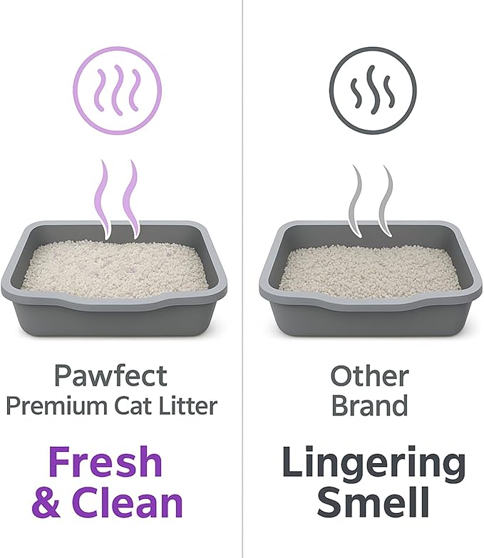 Lavender Scented Cat Litter – 9.6 lb / 5L, Fast Clumping, Natural Odor Absorption, Lightweight Formula, Made with Turkish White Bentonite