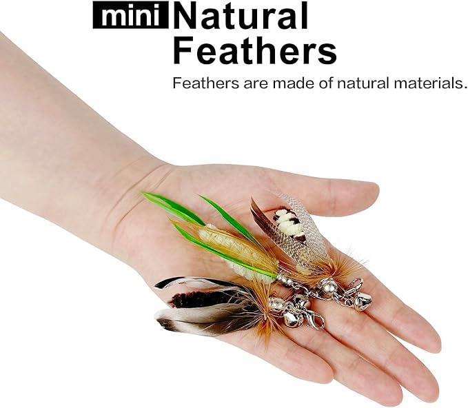 TTcat Cat Feather Wand Toys,Retractable Wand Toy with 3 Mini Insect Refills, Transparent Carbon Wire,Interactive Cat Toy Kitten Toy for Indoor Cats to Play Chase Exercis.