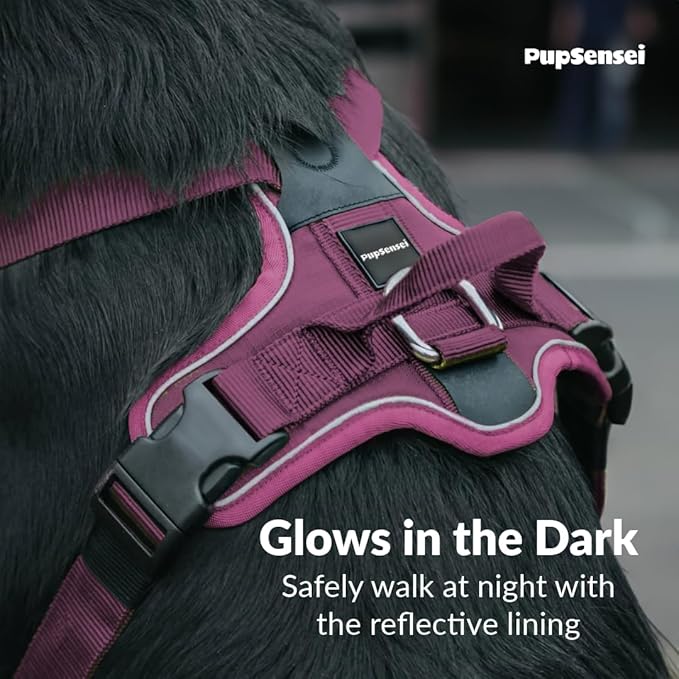 No Pull Dog Harness - Durable Polyester Puppy Harness with Front Anti-Pull Loop, Reflective Strips, and Quick-Release Clips for Small, Medium, and Large Dogs (Berry Purple, Extra Small)