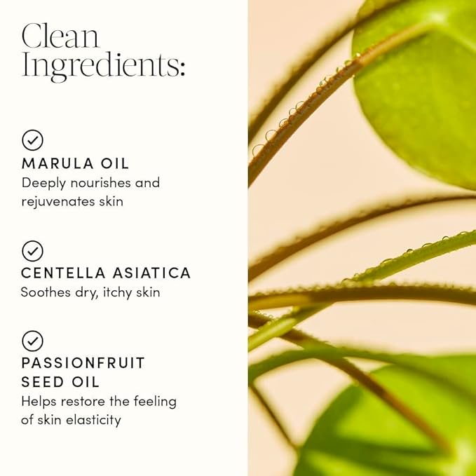 Evereden Golden Belly Serum, 1.7 fl oz., & Petit Bouquet Belly Serum, 1.7 fl oz. | Clean & Vegan Women's Belly Oil for Pregnancy and Postpartum Maternity Skincare | Non-Toxic Ingredients