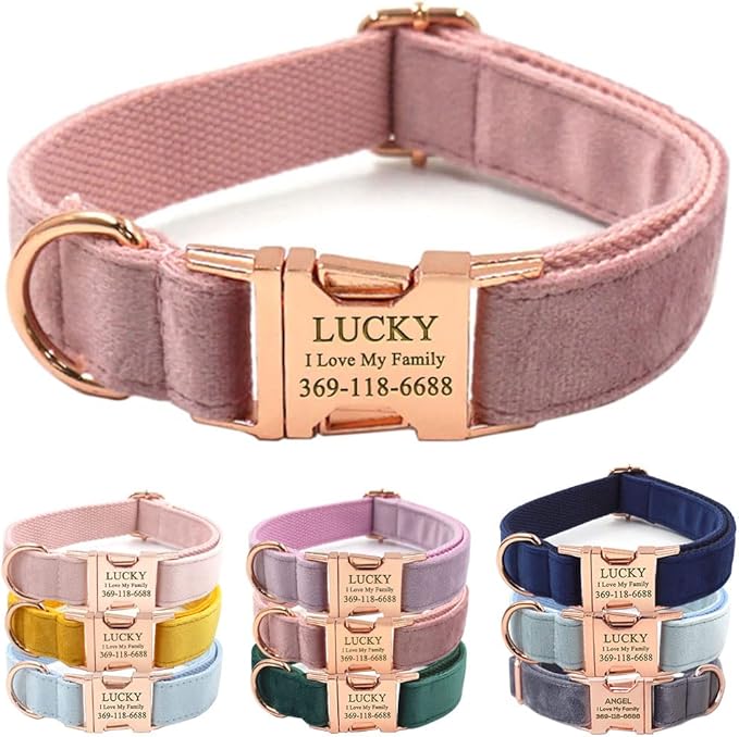 PETDURO Custom Dog Collar Personalized with Name Engraved Rose Gold Metal Buckle for Large Medium Small Girl Dogs - Dog Leash and Bow Tie Available - Soft Comfy Velvet (Champagne Pink RG, M)