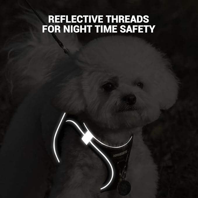Dog Harness and Leash Set, Dog Harness for Dogs No Pull, No-Chock Step-in Reflective Breathable Lightweight Easy Walk Vest Harnesses with Safety Buckle for Small Medium Dogs, Cats (Black, S)