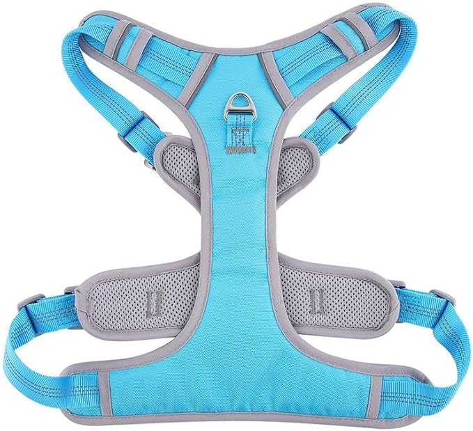 Adjustable Dog Harness - No Pull, Reflective, Soft Padded for Small, Medium, Large Dogs - Includes Leash Turquoise M
