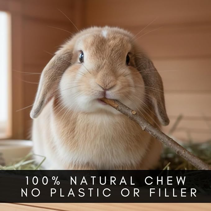 CZ Grain Natural Willow Chew Sticks for Rabbits, Guinea Pigs, Chinchillas & Hamsters – 100% Natural Bunny Chew Toys, Safe Willow Sticks for Teeth Grinding, Small Animal Molar Treats (50)
