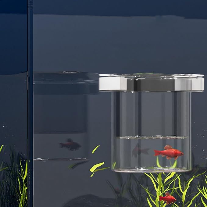 Fish Tank Breeder Box - Floating Aquarium Breeder Box, Fish Isolation Box | Fish Hatchery Box, Nursery Feeding Container Hatchery Incubator Divider for Betta Egg Fry Guppy Angelfish Acclimation