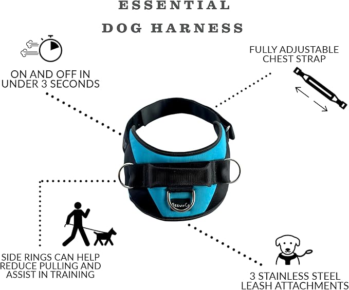 ShawnCo Essential Dog Harness, No-Pull Pet Vest with 3 Leash Clips, No Choke, Reflective, Adjustable and Padded, for Easy Walking and Training for Small, Medium and Large Dogs (Electric Blue,L)