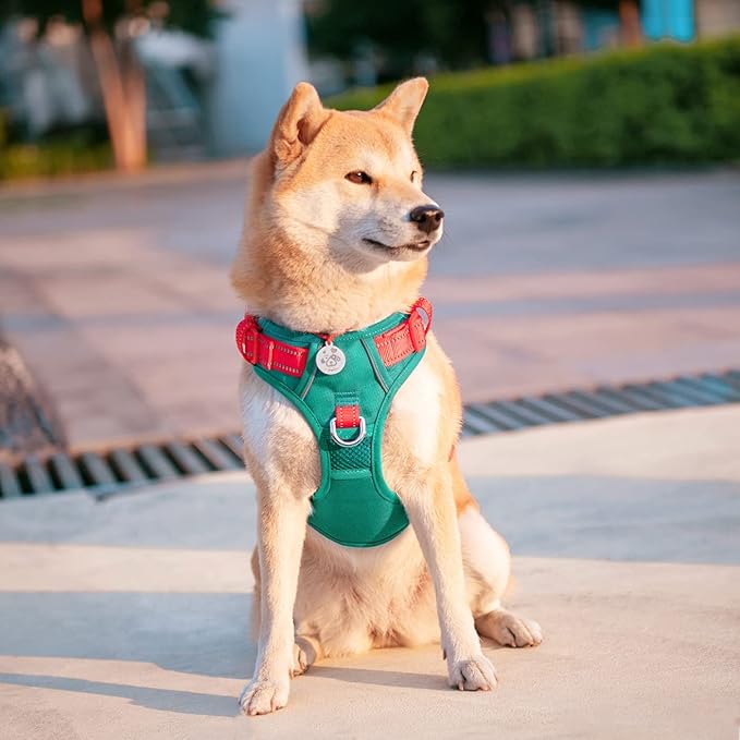 PHOEPET No Pull Dog Harness, Unique Colors Reflective Adjustable Dog Vest, with Soft Training Handle Metal Clips for Small Medium Large Dogs (Dark Green Base & Red Straps,M)