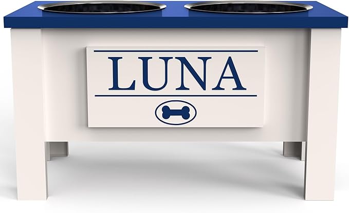 GTW Personalized Elevated Dog Bowl Stand for Large, Medium, Small, X-Small Dogs - Stainless Steel Food and Water Bowls - Raised Dog Dish with Internal Storage (Large, Blue)