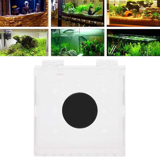 Acrylic Magnetic Aquarium Fish Breeding Isolation Box Hatchery Cage for Baby Fish Incubator Strong Magnetic Design, Easy Maintenance, Maximum Thickness 15Mm