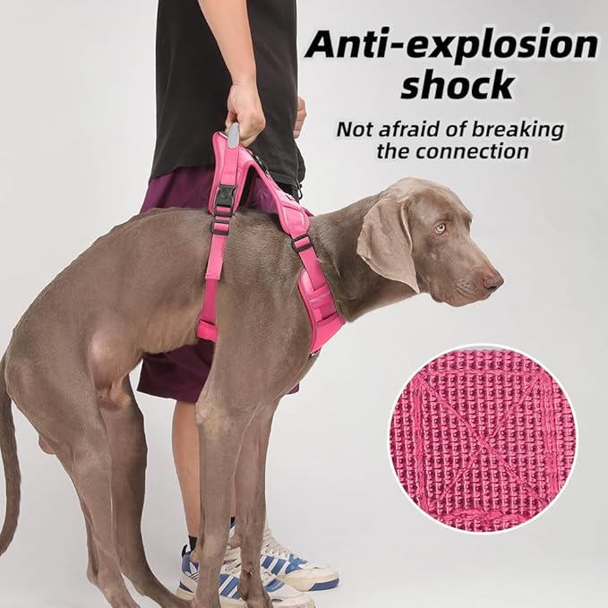Airtag Dog Harness Chest Plate Reflective No Pull Harness with Leash for Extra Large Dogs (Fuchsia, S)
