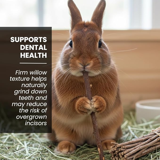 CZ Grain Natural Willow Chew Sticks for Rabbits, Guinea Pigs, Chinchillas & Hamsters – 100% Natural Bunny Chew Toys, Safe Willow Sticks for Teeth Grinding, Small Animal Molar Treats (50)