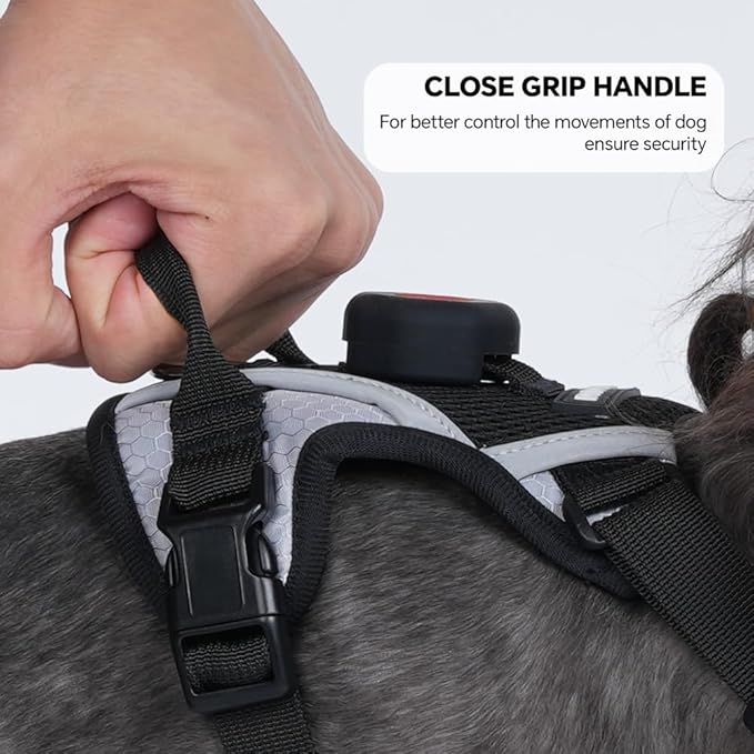 Cat Harness Leash Set with AirTag Holder, Upgraded Escape Proof Vest with Lead for Small Cat Kitten Puppy Small Dog Outdoor Walking, Soft Breathable Mesh Jacket with Reflective Strip (Black, S)