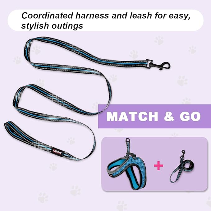 Cat Harness and Leash Set,Escape Proof Kitten Harness,Step in Adjustable Soft Lightweight,Easy Control,Reflective Strips Comfortable for Walking Travel(Blue/Black,XXS)